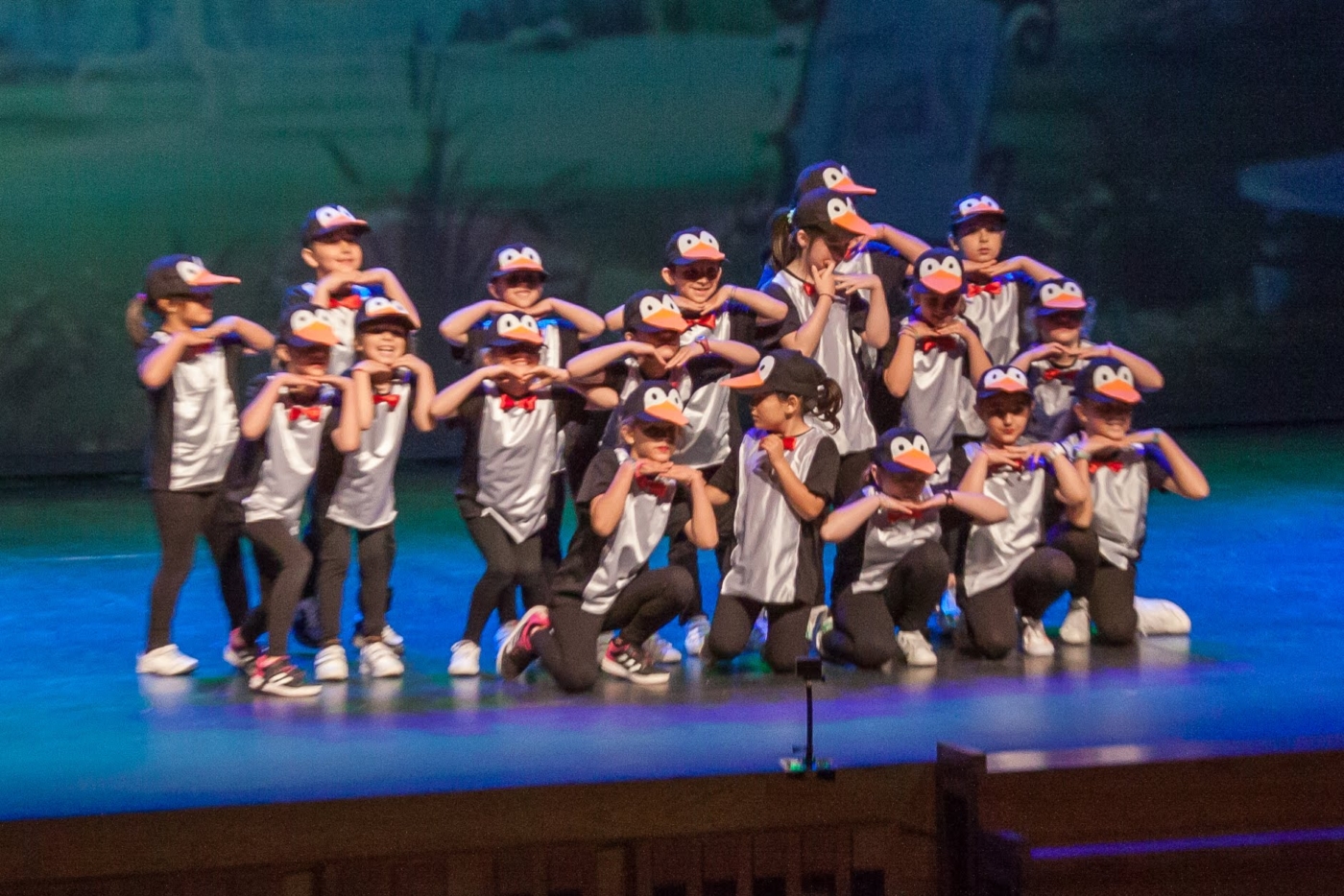 V FESTIVAL LEMARI 15-6-2019 IMG_4581 (2) foto VERDESOTO V FESTIVAL LEMARI 15-6-2019 IMG_4581 (2) foto VERDESOTO